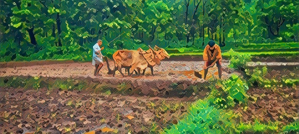 Close view of farmland and soil texture