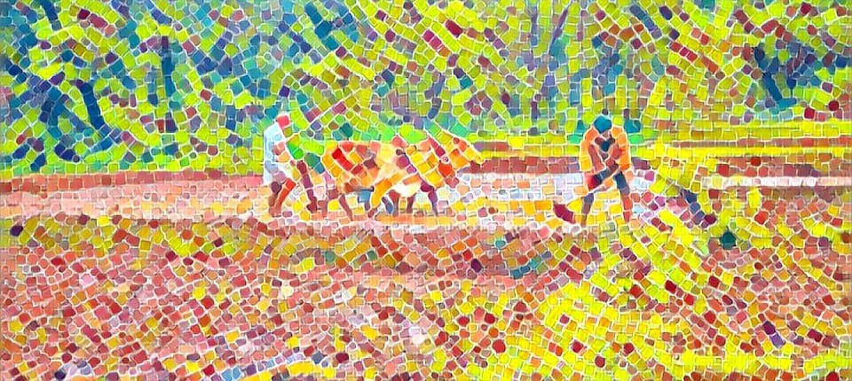 Patterned agricultural field after ploughing